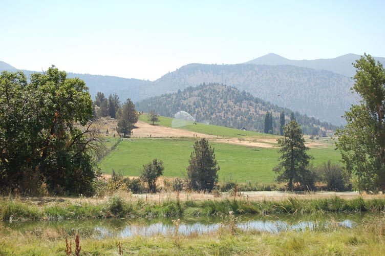 MiscIrrigationPhoto_250