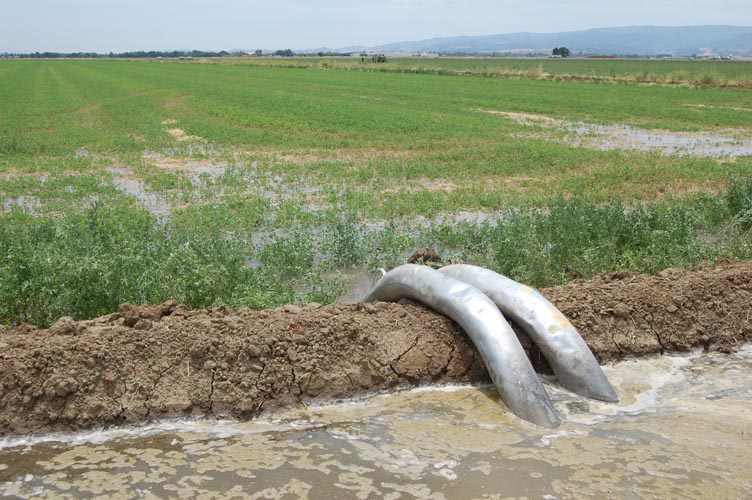 MiscIrrigationPhoto_314