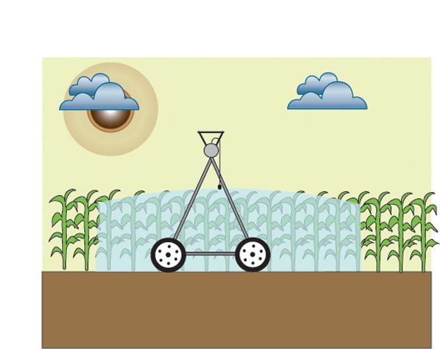 crop height