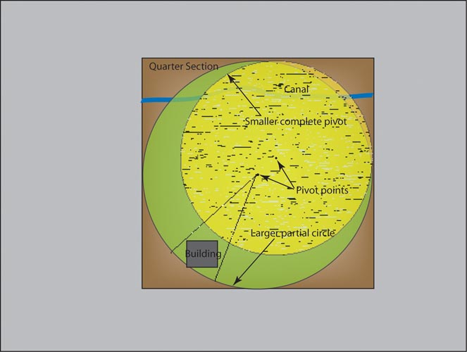 pivot layout