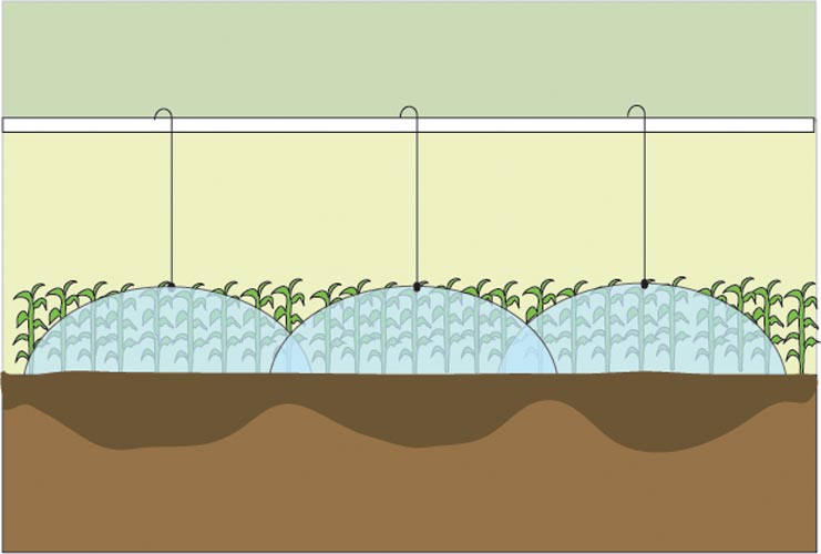 wide Sprinkler spacing