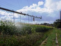 CenterPivotPhoto_063